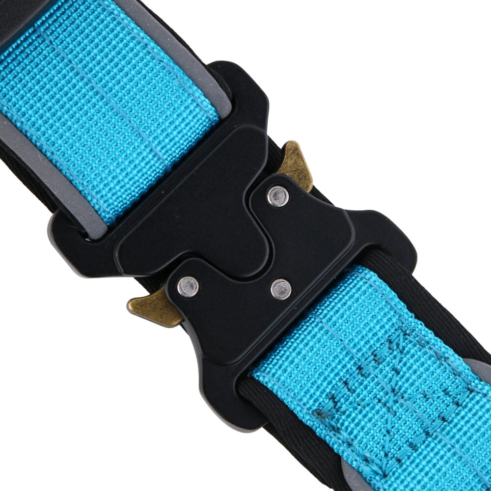 Personalised Embroidered Tactical Dog Collar UK Custom Pet Collars UK