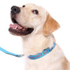 Reflective & Padded - Personalised Dog Collar