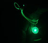Pet Safety Light - LED