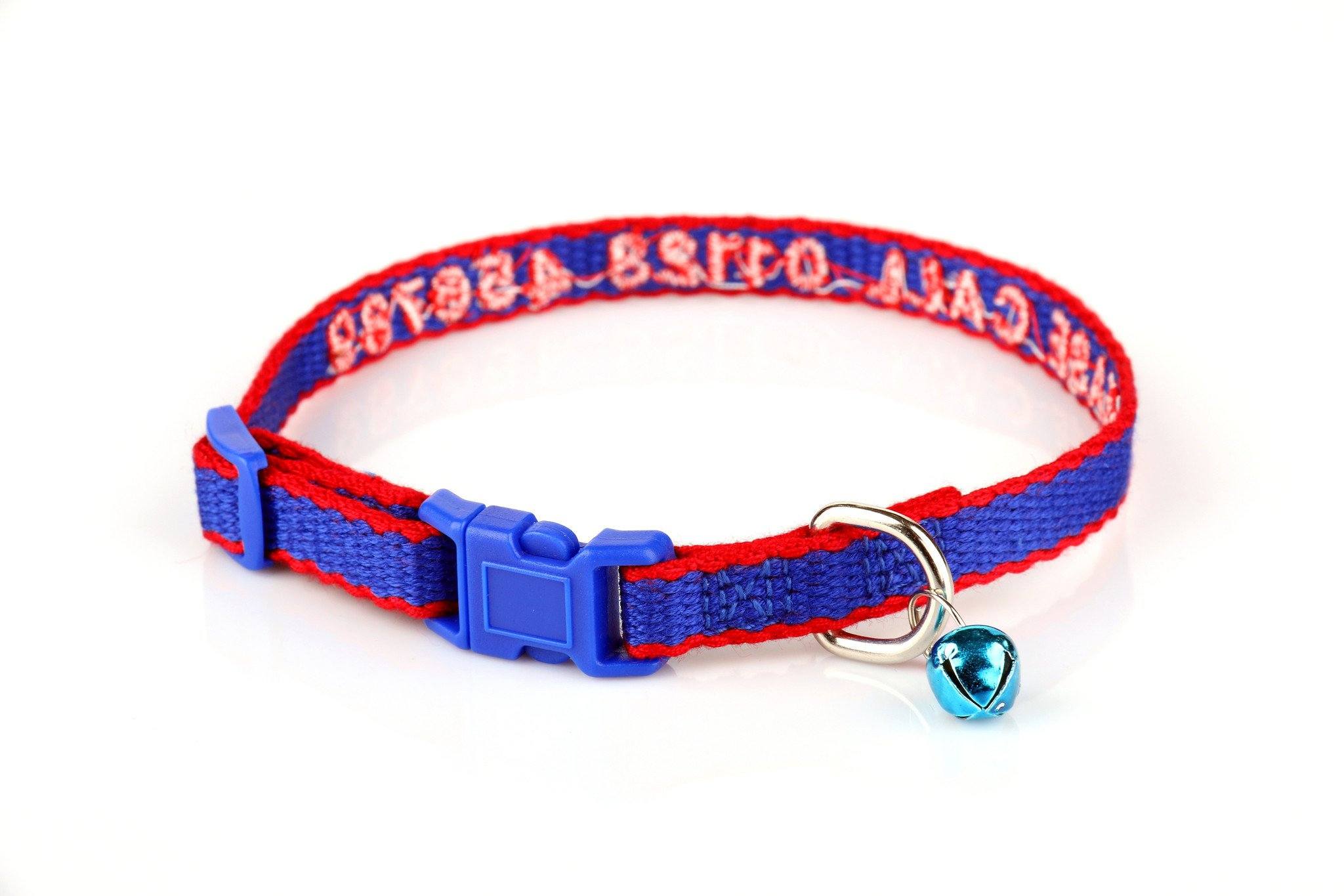 Personalised 2024 kitten collars