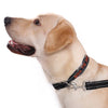 Reflective & Padded - Personalised Dog Collar