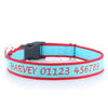 Personalised Embroidered Collar - Made from Organic Bamboo Webbing