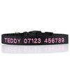 Personalised Dog Collar - Embroidered - Nylon