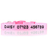 Personalised Dog Collar - Embroidered - Nylon