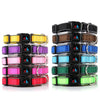 (NEW DESIGN) SUPER PREMIUM - NYLON & PADDED NEOPRENE WITH SAFETY REFLECTION STRIPS DOG COLLARS