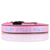 (NEW DESIGN) SUPER PREMIUM - NYLON & PADDED NEOPRENE WITH SAFETY REFLECTION STRIPS DOG COLLARS