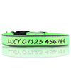 (NEW DESIGN) SUPER PREMIUM - NYLON & PADDED NEOPRENE WITH SAFETY REFLECTION STRIPS DOG COLLARS