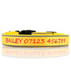 (NEW DESIGN) SUPER PREMIUM - NYLON & PADDED NEOPRENE WITH SAFETY REFLECTION STRIPS DOG COLLARS