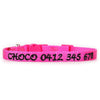 Personalised Cat Collar - Nylon with Safety Release Buckle