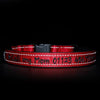 Reflective & Padded - Personalised Dog Collar