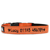 Reflective & Padded - Personalised Dog Collar