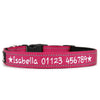 Reflective & Padded - Personalised Dog Collar