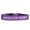 Reflective & Padded - Personalised Dog Collar