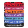 Reflective & Padded - Personalised Dog Collar