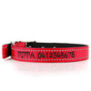 Deluxe Buckle Style Personalised Dog Collar - Soft Padded Nylon & Neoprene