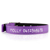 Deluxe Buckle Style Personalised Dog Collar - Soft Padded Nylon & Neoprene