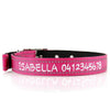 Deluxe Buckle Style Personalised Dog Collar - Soft Padded Nylon & Neoprene