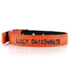 Deluxe Buckle Style Personalised Dog Collar - Soft Padded Nylon & Neoprene