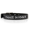 Deluxe Buckle Style Personalised Dog Collar - Soft Padded Nylon & Neoprene