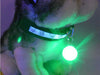 Pet Safety Light - LED
