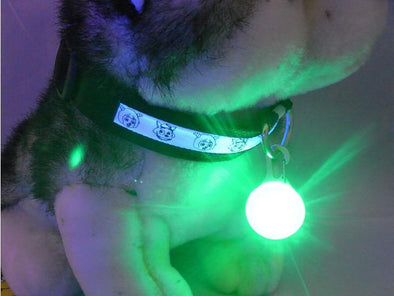 Pet Safety Light LED
