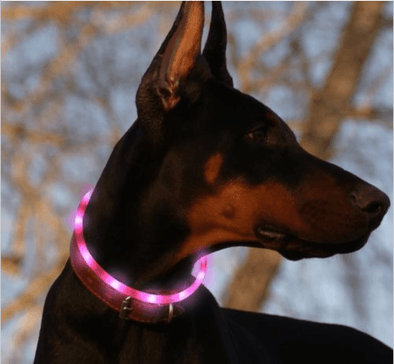 Rechargeable Waterproof LED Flashing Light Band - Night Safety for Dogs