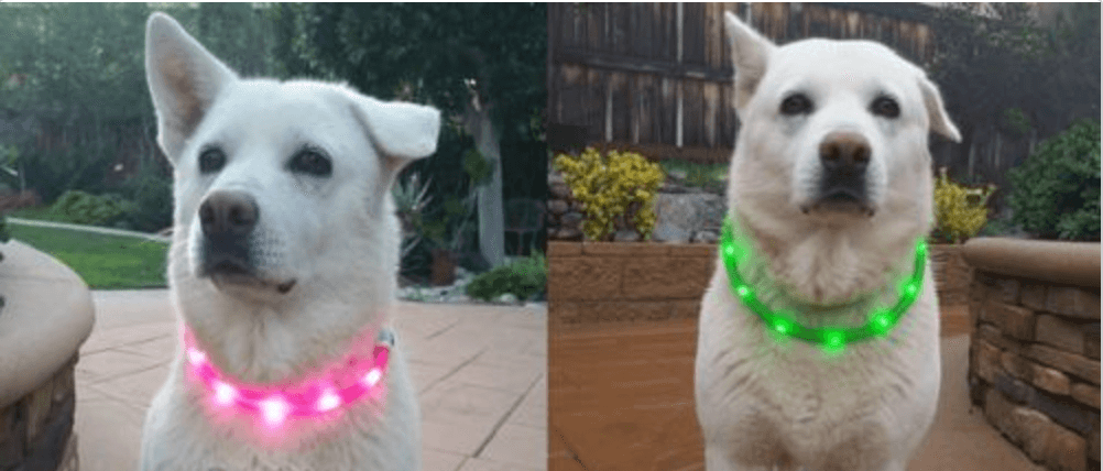 Rechargeable Waterproof LED Flashing Light Band Night Safety for Dog UK Custom Pet Collars UK
