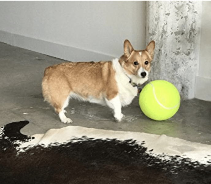 Giant tennis ball for dogs hotsell