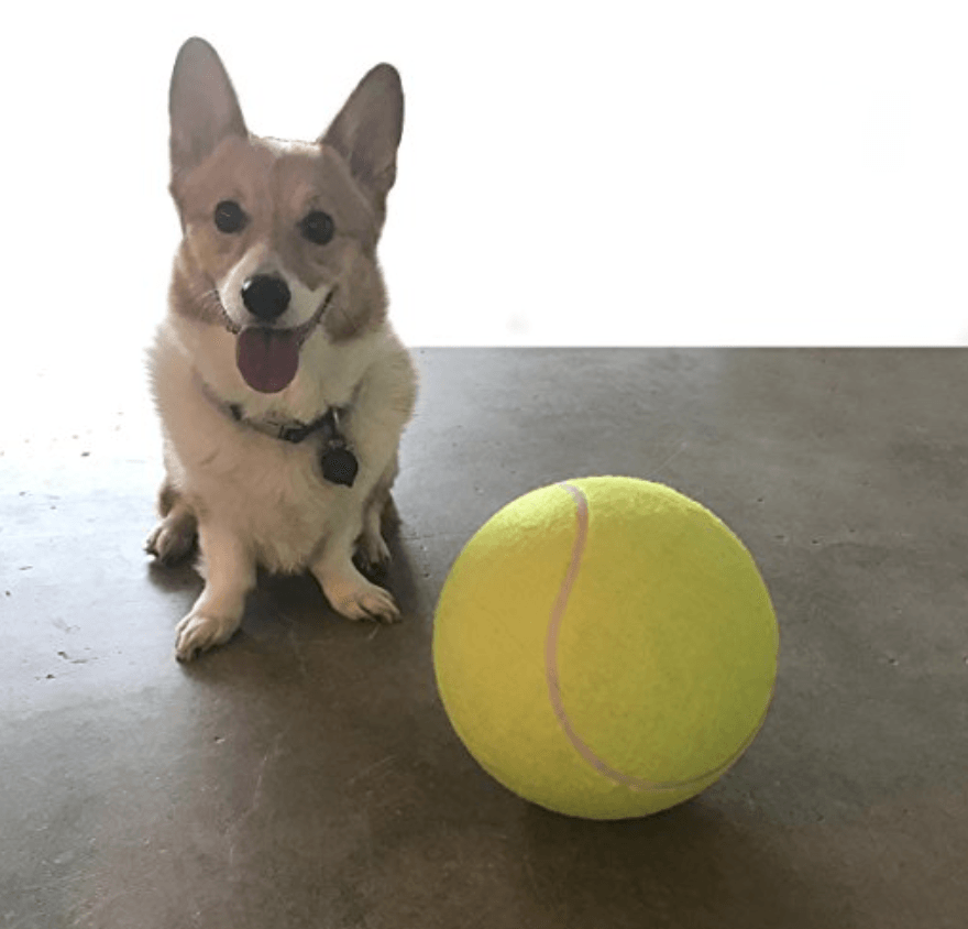 Giant dog ball deals