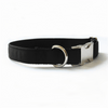 Personalised Pet Collar - Metal Buckle, Nylon and Coloured Ribbon