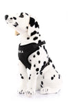 Canvas Mesh Harness - Custom Embroidered For Your Dog