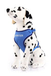 Canvas Mesh Harness - Custom Embroidered For Your Dog