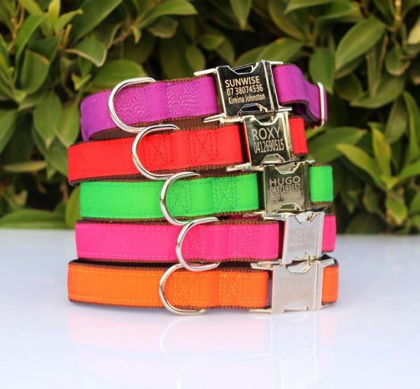 Personalised Dog Collar Metal Buckle Nylon and Coloured Ribbon