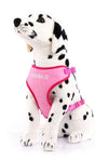 Canvas Mesh Harness - Custom Embroidered For Your Dog