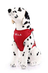 Canvas Mesh Harness - Custom Embroidered For Your Dog
